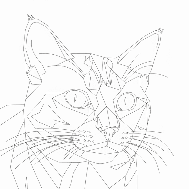 Low Poly art style applied to the cat photo