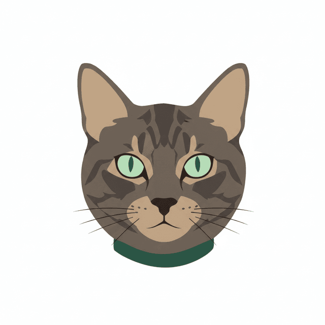 Minimalist art style applied to the cat photo
